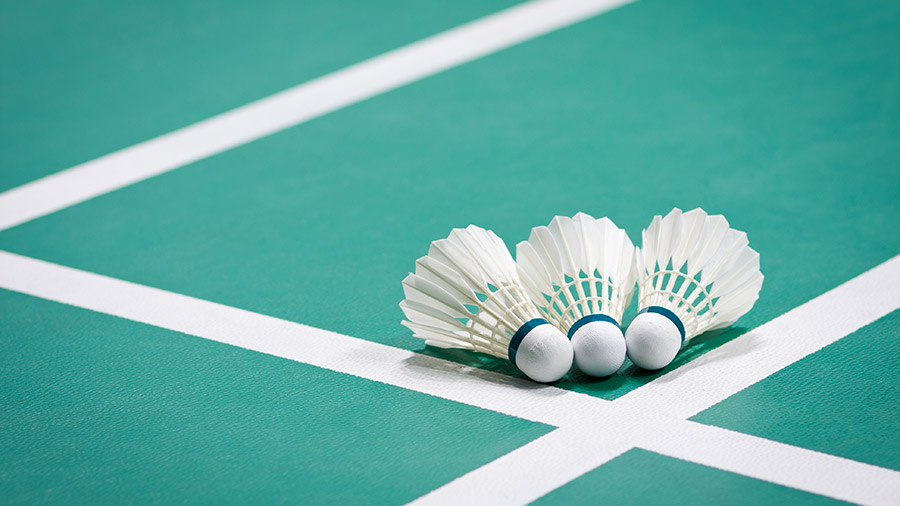 badminton01_900.jpg