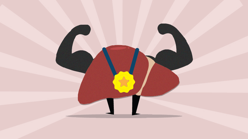 michigan-med-l-liver-basics-1-01.jpg