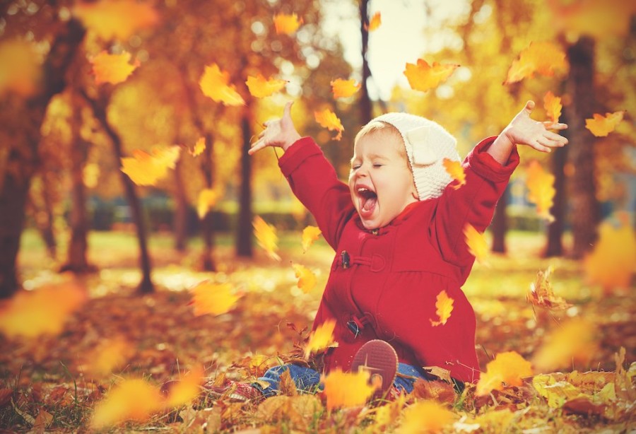things-to-do-in-autumn_gr90k4.jpeg